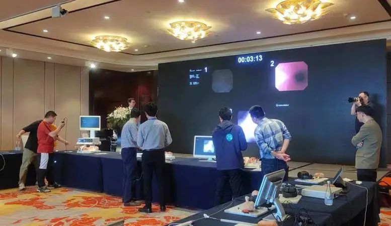 urinary system anatomy model urinary system anatomy model