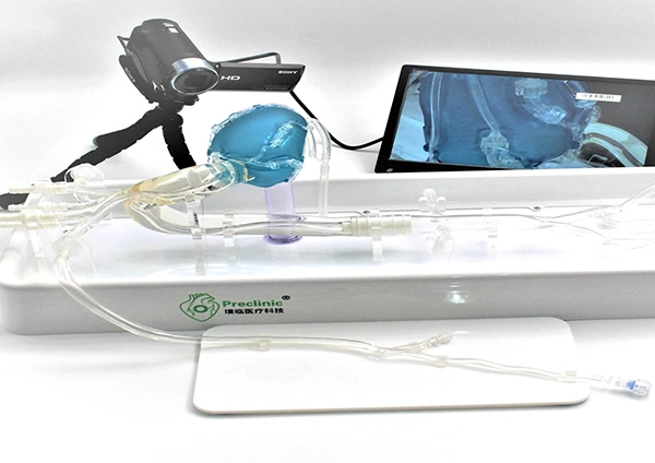 FAQ On Coronary Artery Simulation Model