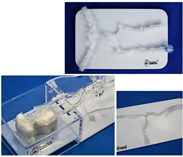 vitro model vitro model