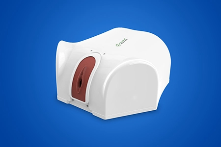 Hysteroscopy Training Model