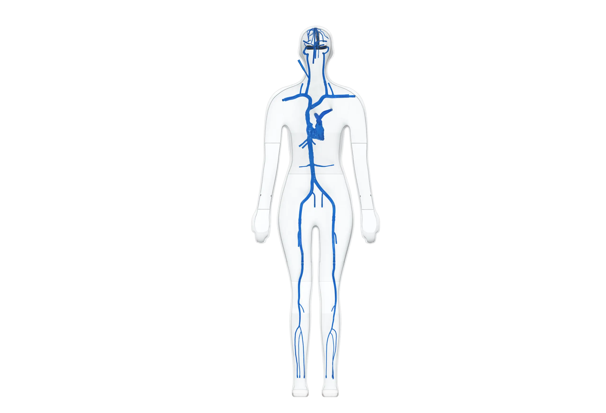 vascular access training models
