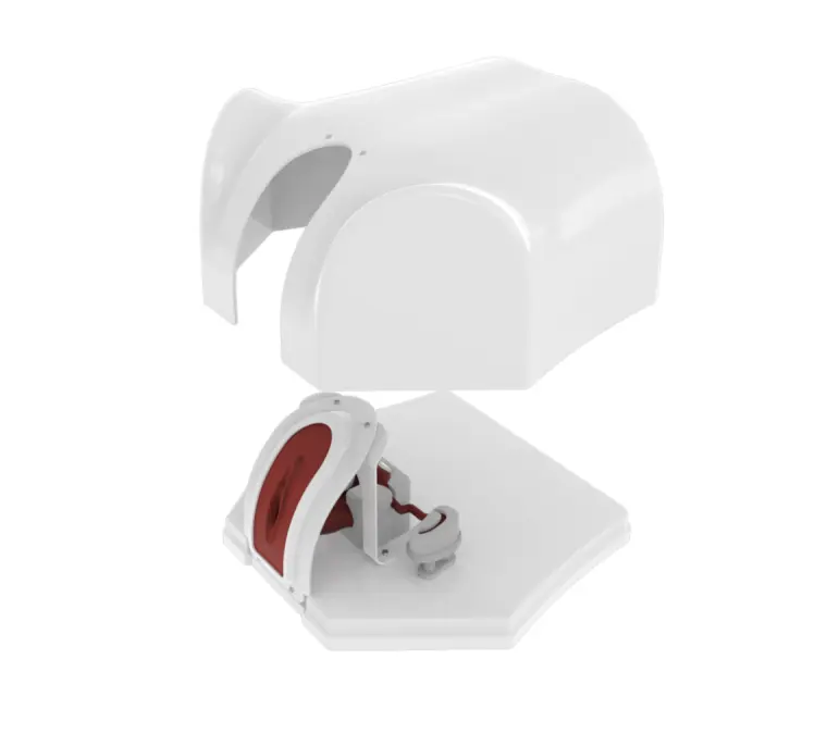 model uterus