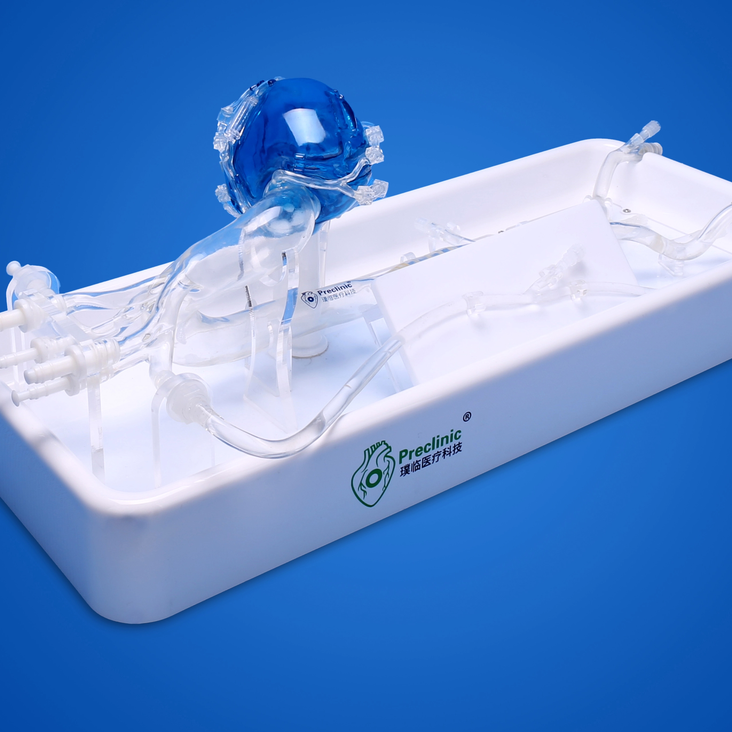 3d model of coronary arteries
