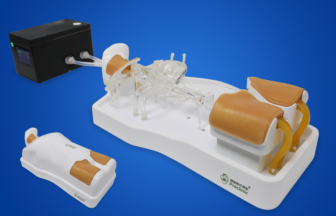 ECMO Training System