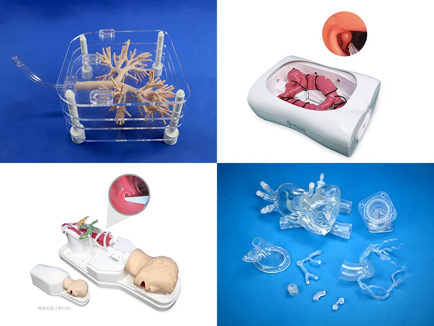 Silicone models