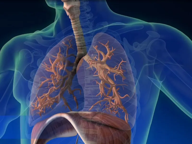 Preclinic Virtual Simulator Brief Introduction