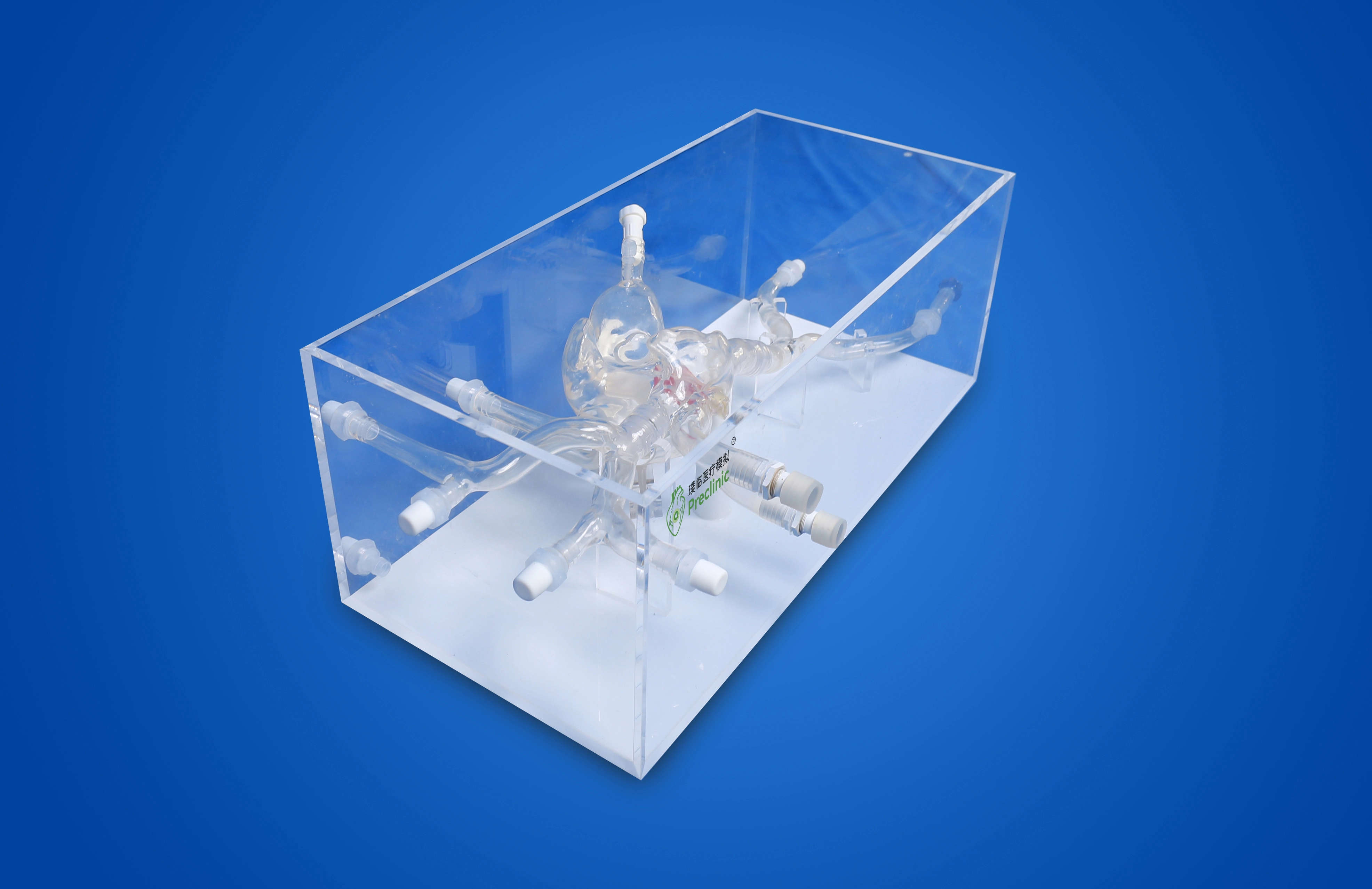 Atrial septal puncture operation training model-A (Static version, including replaceable atrial septal puncture film)