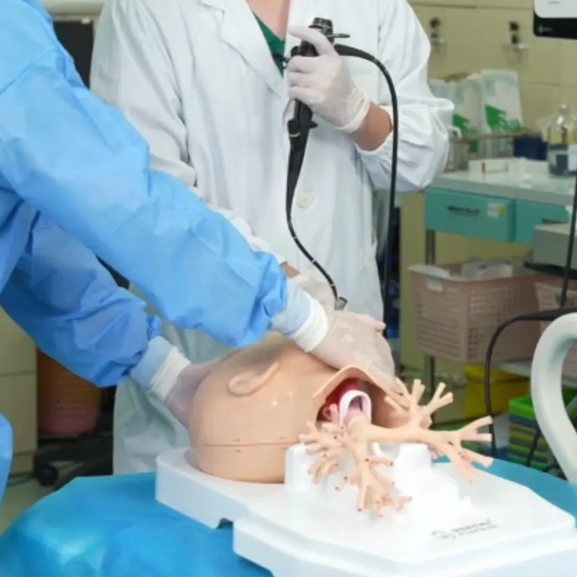 Respiratory Endoscope Training Model