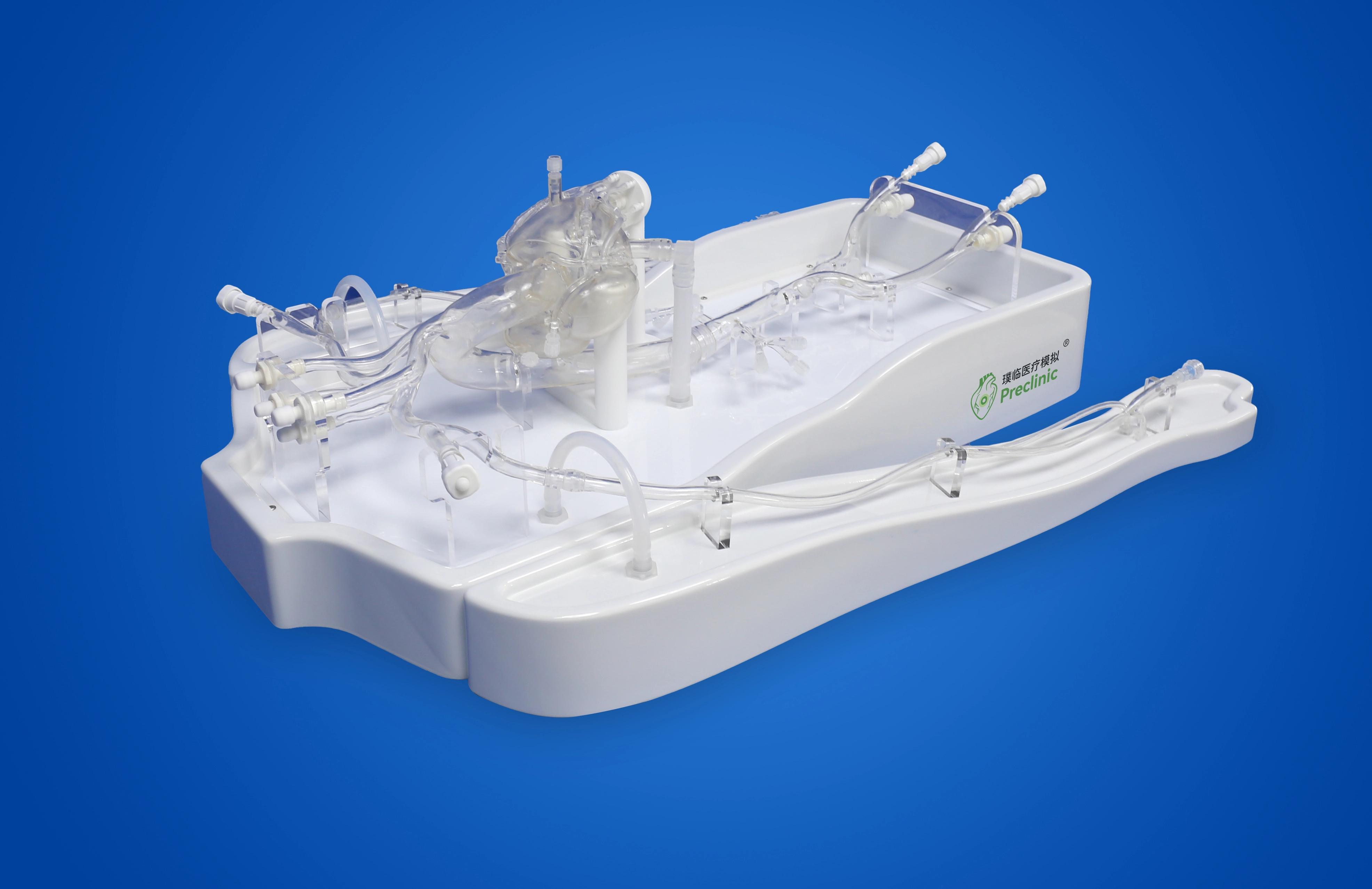 Coronary Training Model -B（Pulse version）