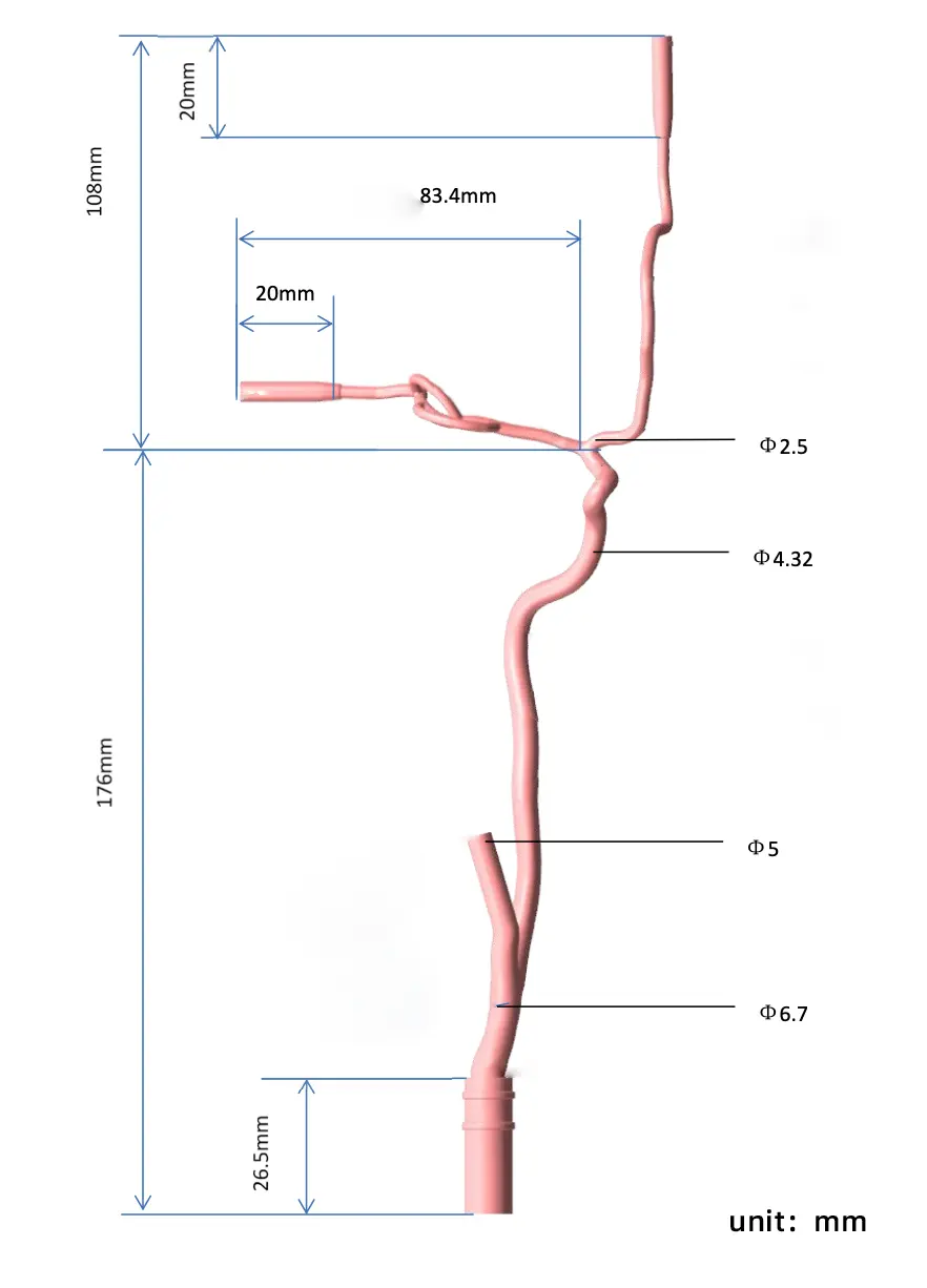 Main Dimensions of Anterior Cerebral Circulation Vessel Model