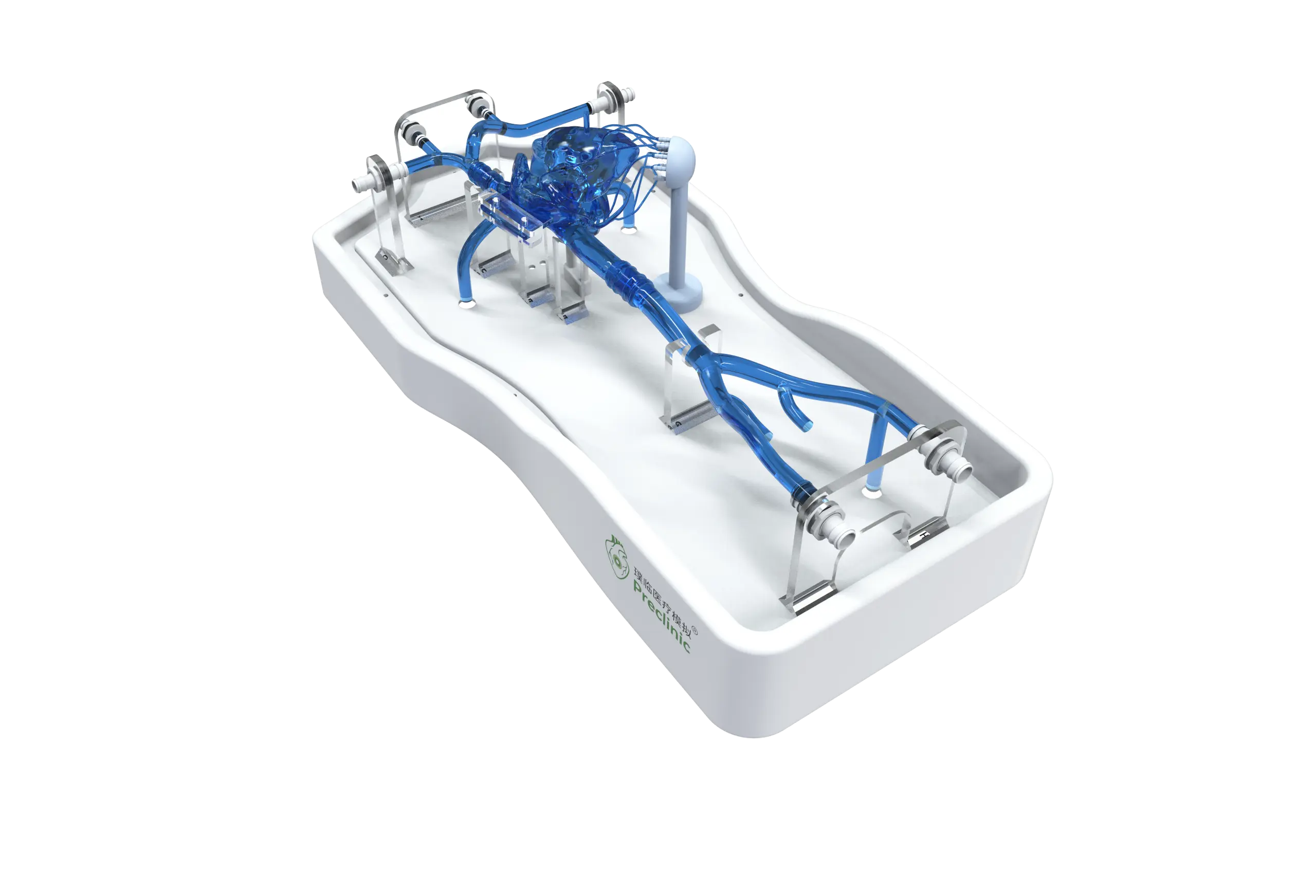 Main Dimensions of Cardiac Veins Simulation Model