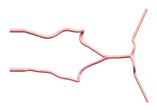 Main Dimensions of Posterior Brain Vessel Model