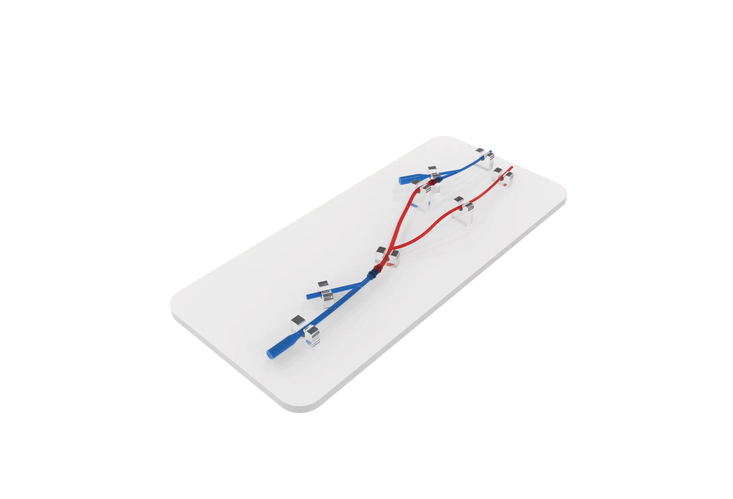 Main Dimensions of Upper limb arteriovenous fistula model