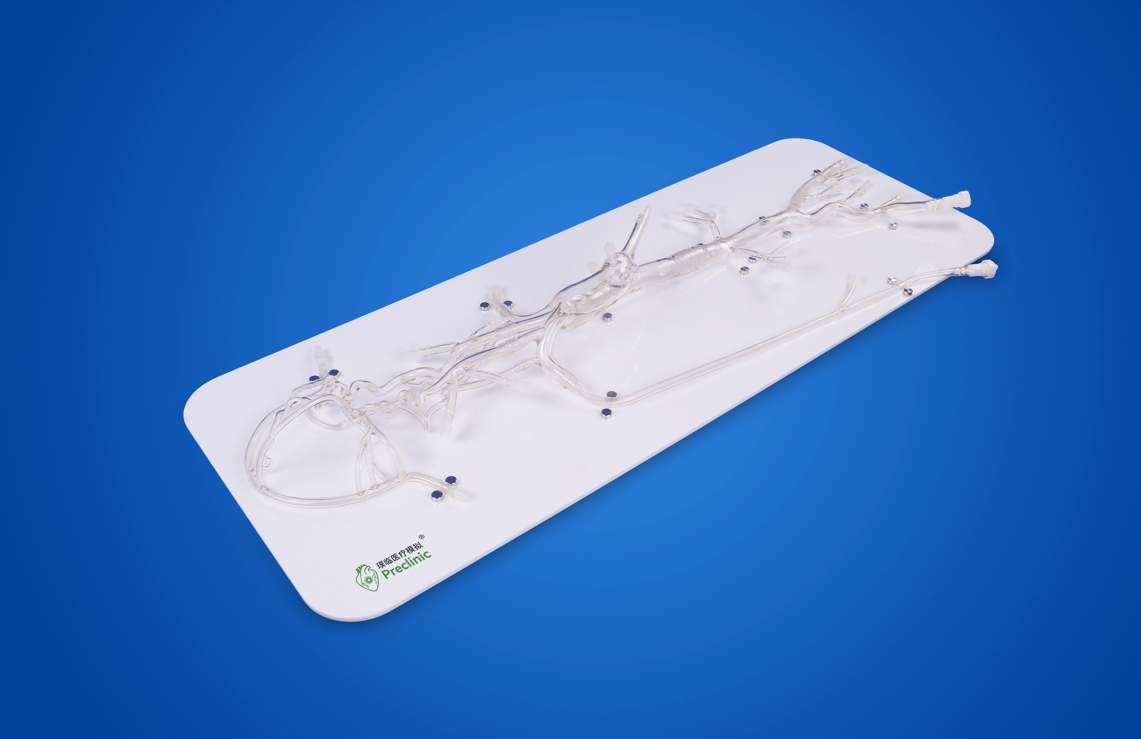 Neurovascular Operation Training Model-Type C