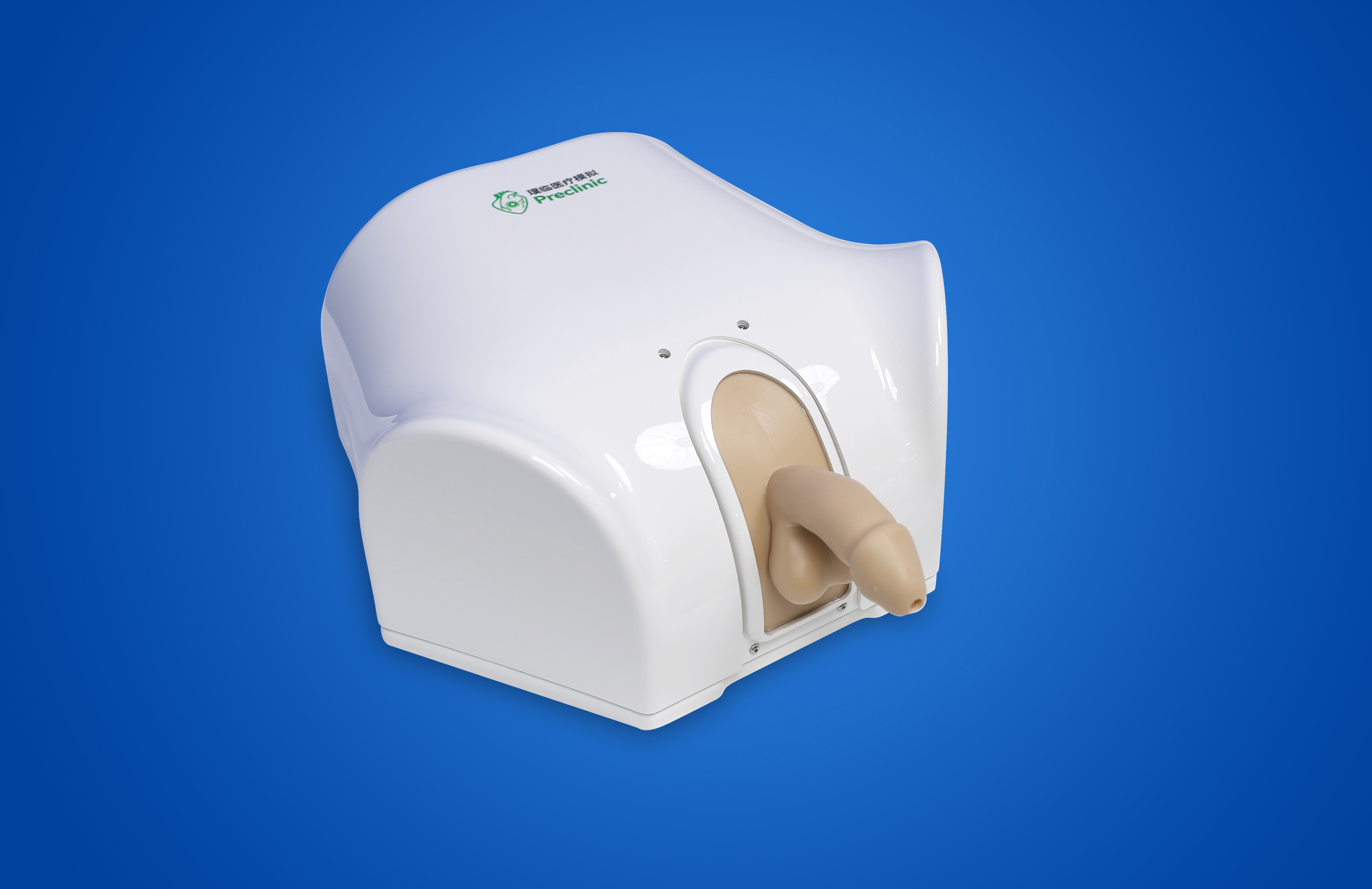 Prostate Endoscopy Training Model