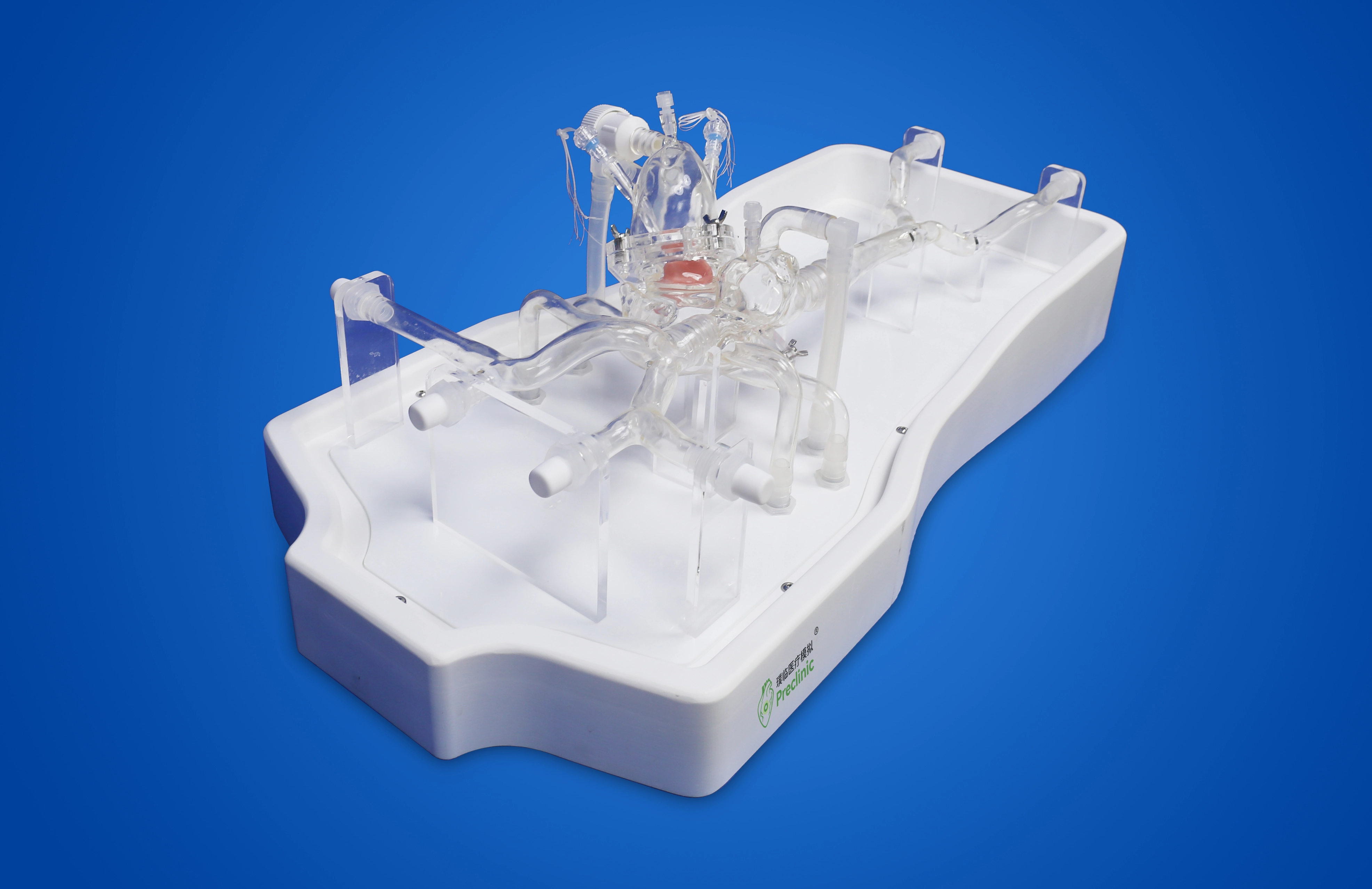 Atrial septal puncture operation training model-B (Dynamic version, including replaceable atrial septal puncture film)