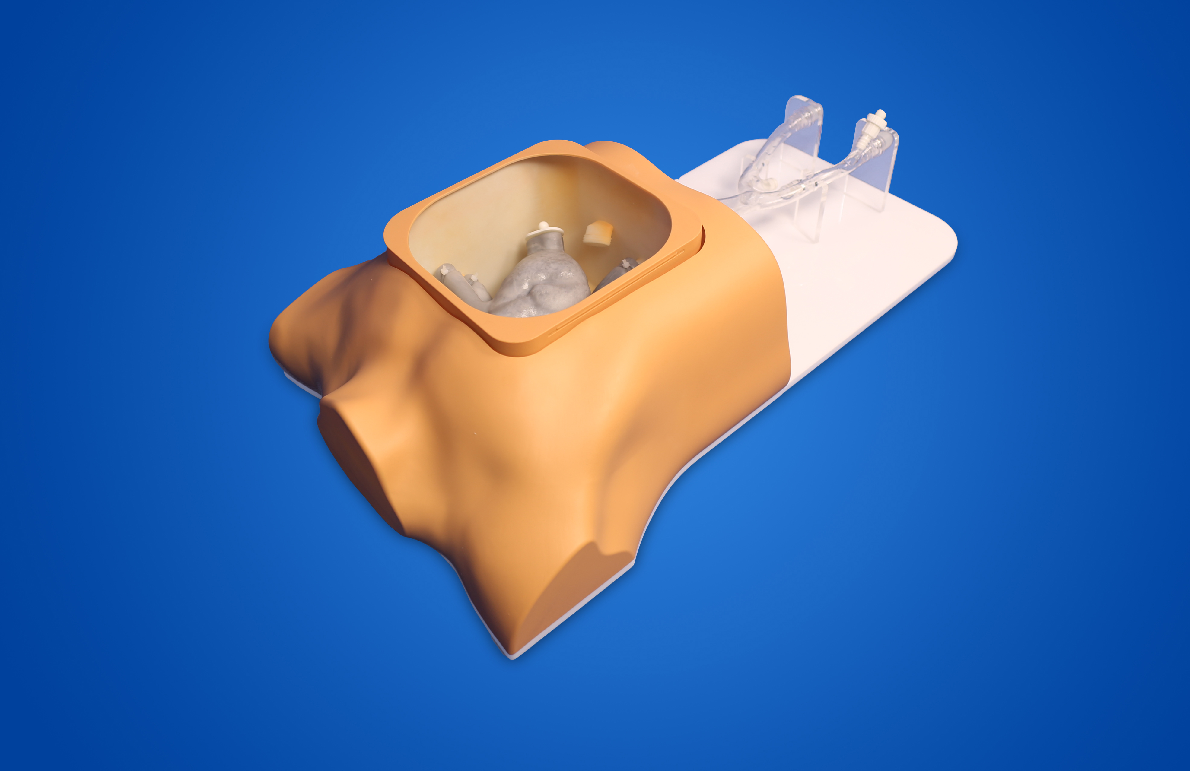 Ultrasound Cardiac Training Model