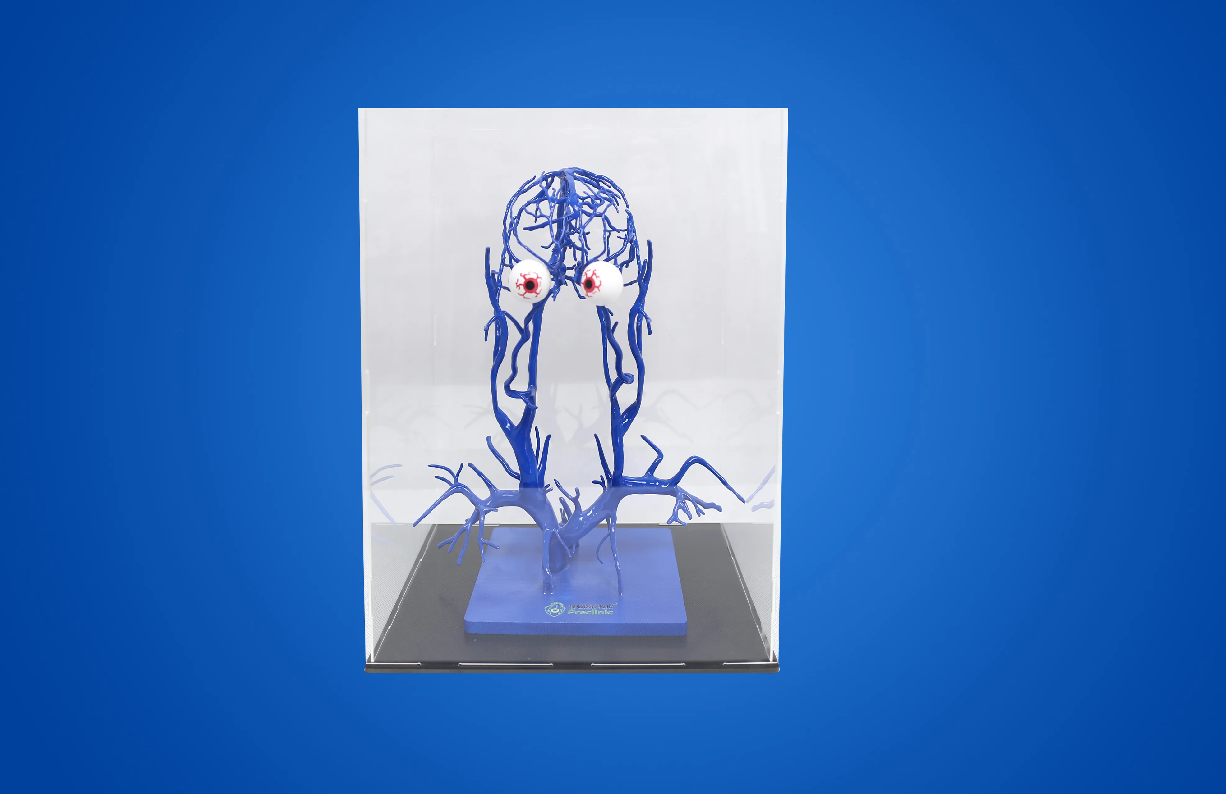 Anatomical Model of Intracranial Venous Vessels