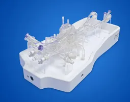 Cardiac Training Model - Type B