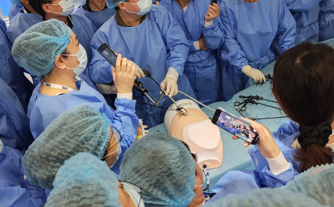 internal medicine thoracoscopic training model uses