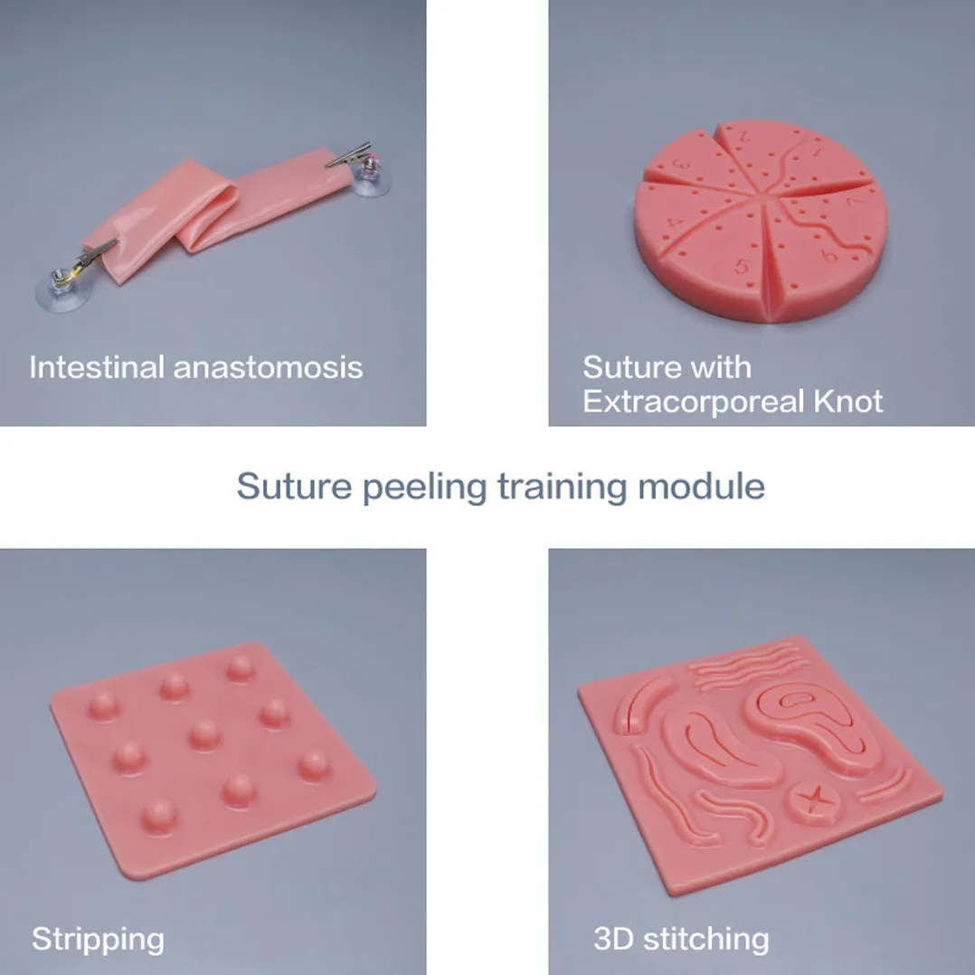 laparoscopic training model factory