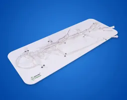 Neurovascular Operation Training Model-Type C