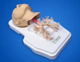Respiratory Endoscope Training Model