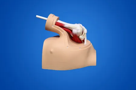 Training Model for Shoulder Arthroscopy Surgery