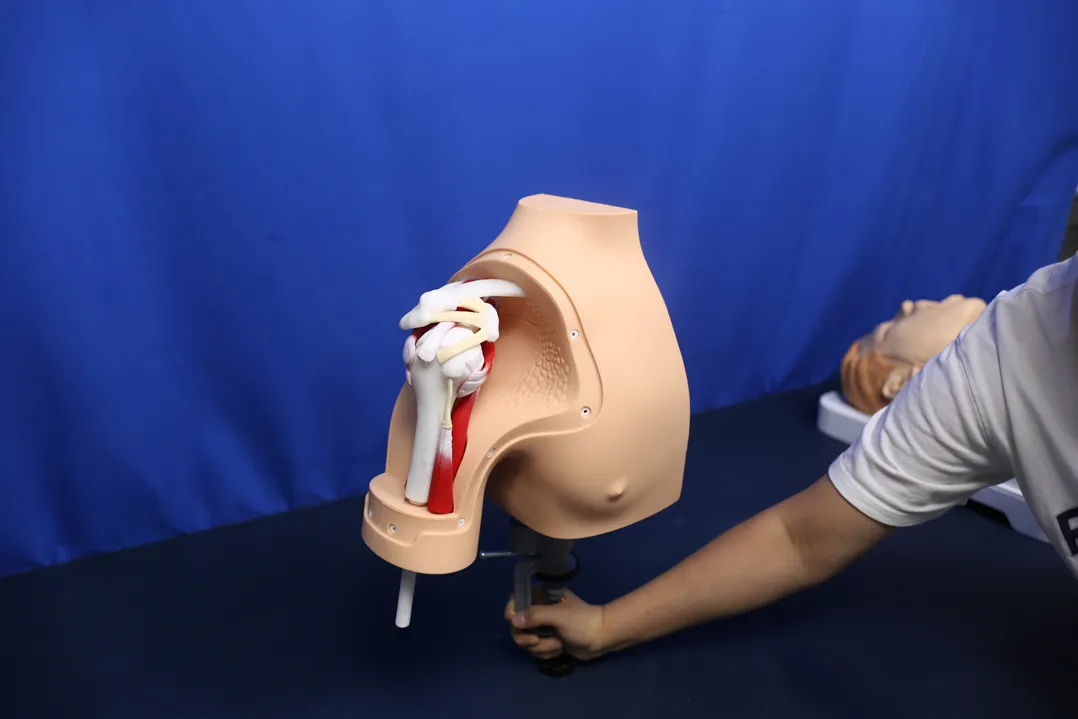shoulder arthroscopy training model supplier