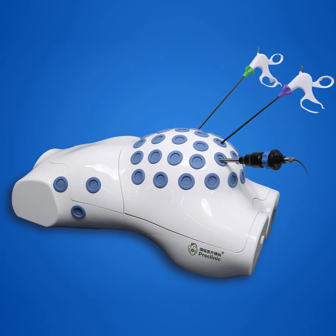 training model for laparoscopic surgery robot manufacturer