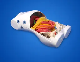 Training Model for Laparoscopic Surgery Robot - Type A