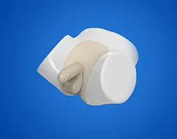 Prostate Ultrasound Training Model Type B