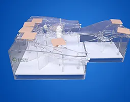 PICC Training Model