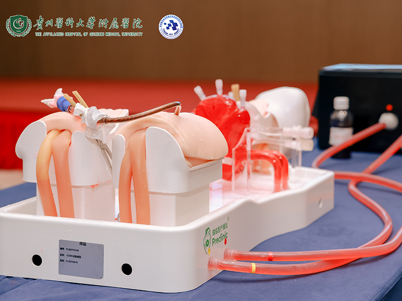 The First ECMO Nursing Academic Conference in Guizhou Province The First ECMO Nursing Academic Conference in Guizhou Province