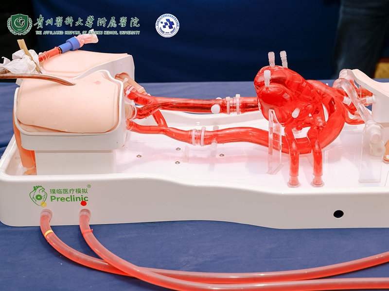 The First ECMO Nursing Academic Conference in Guizhou Province The First ECMO Nursing Academic Conference in Guizhou Province