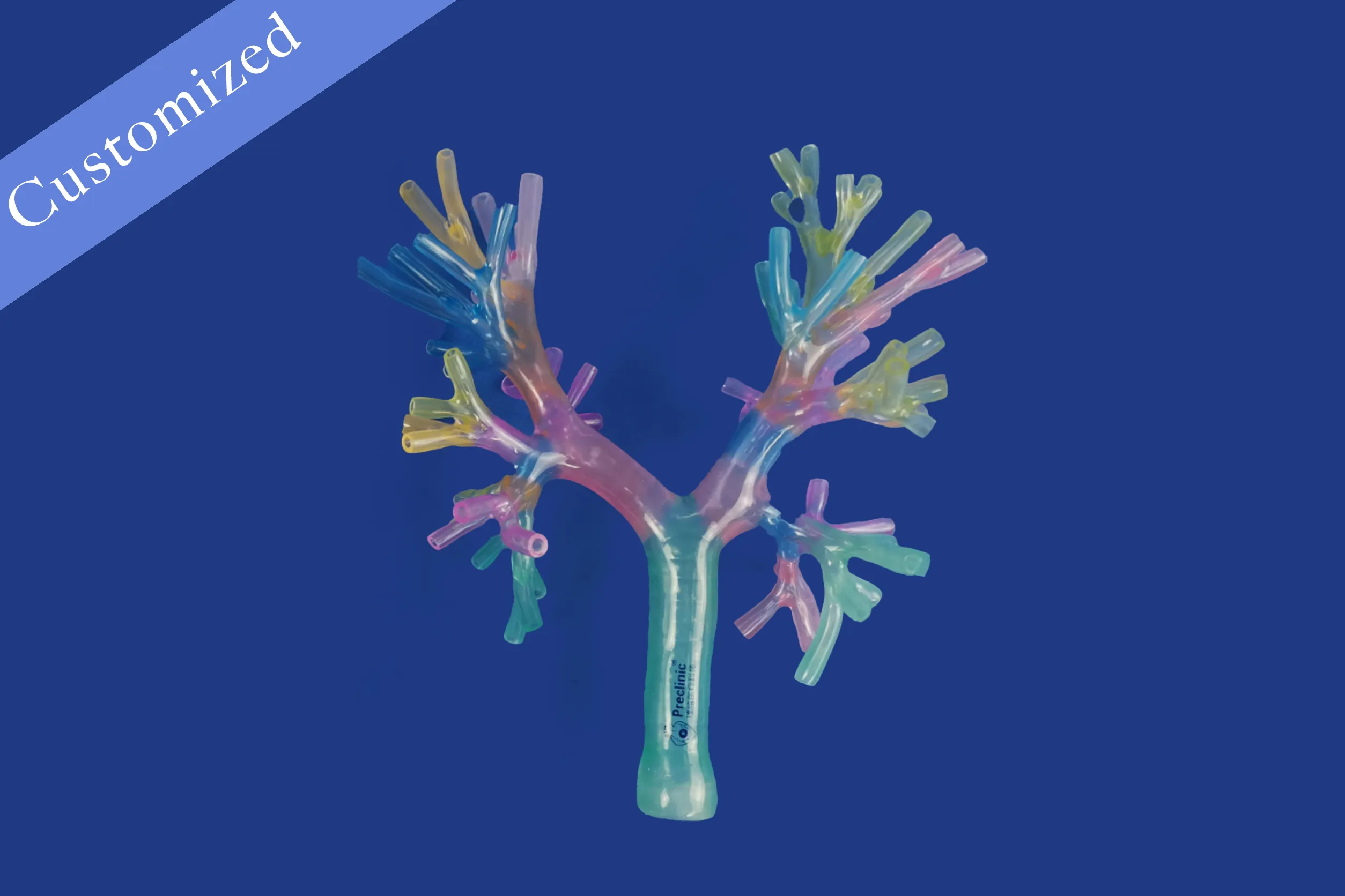 Customized Respiratory Model