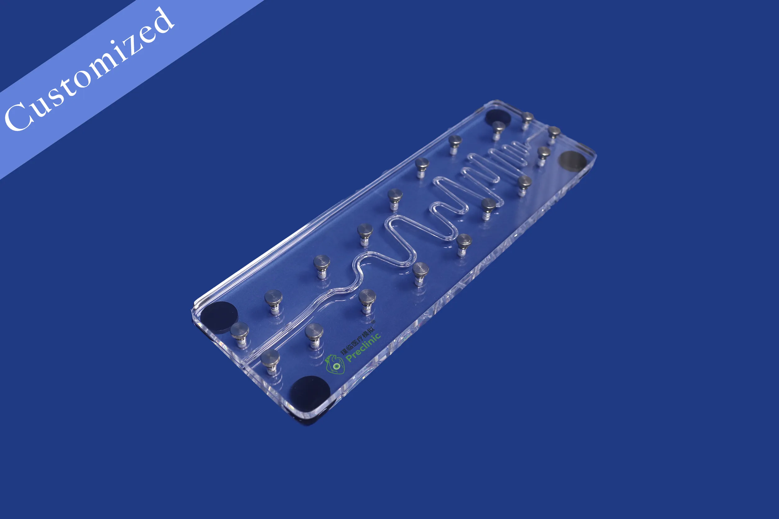 Customized Vascular Model