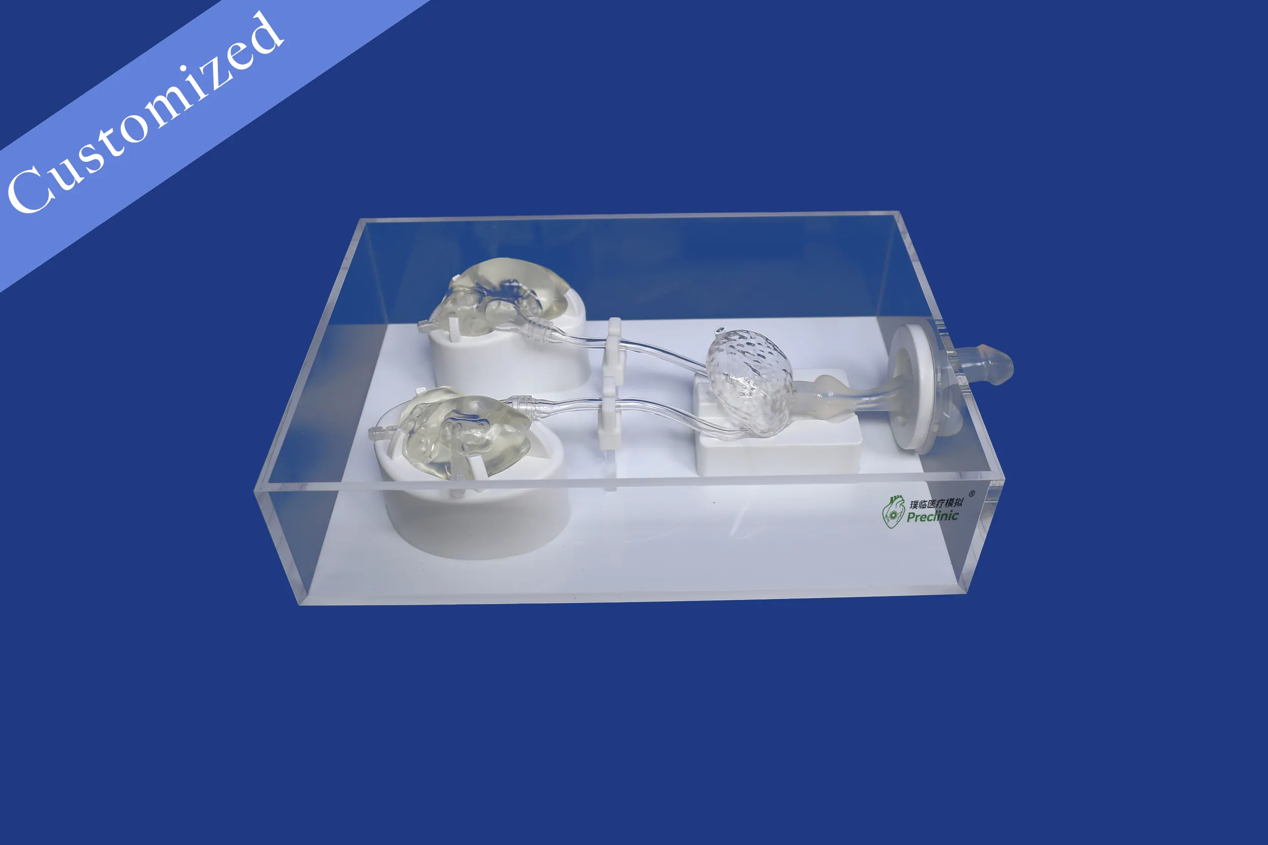 Customized Urology Model