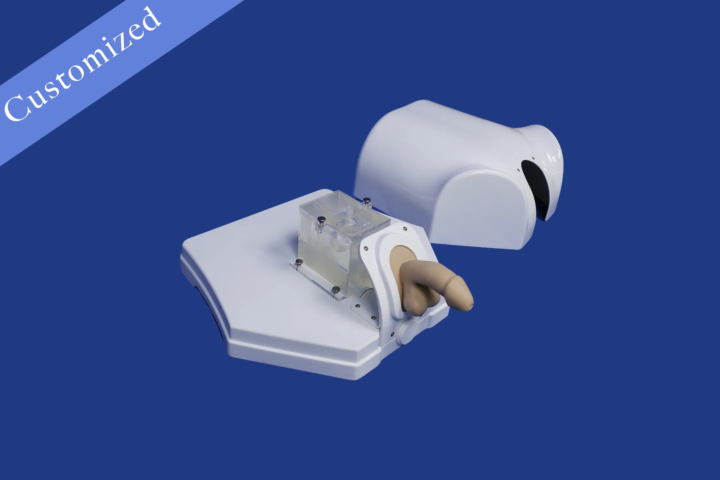 Customized Urology Model