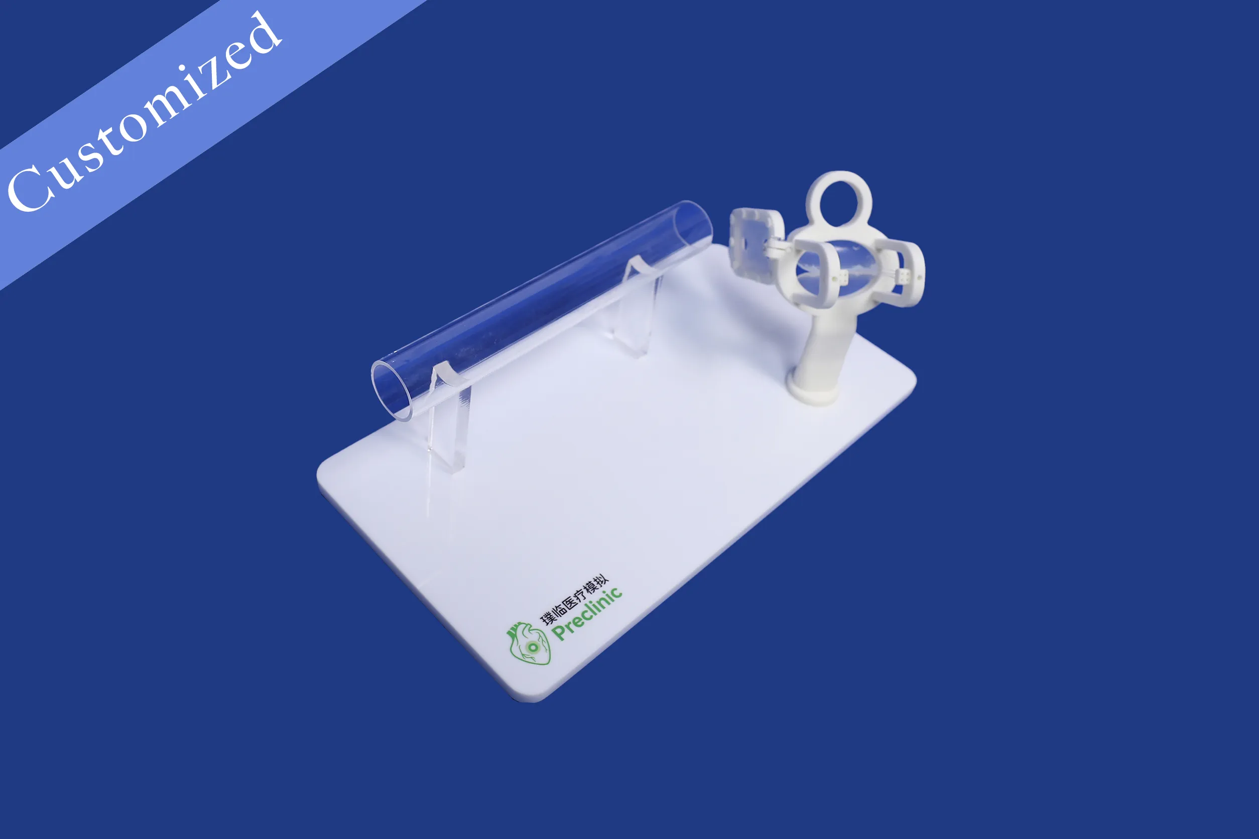 Customized Vascular Model