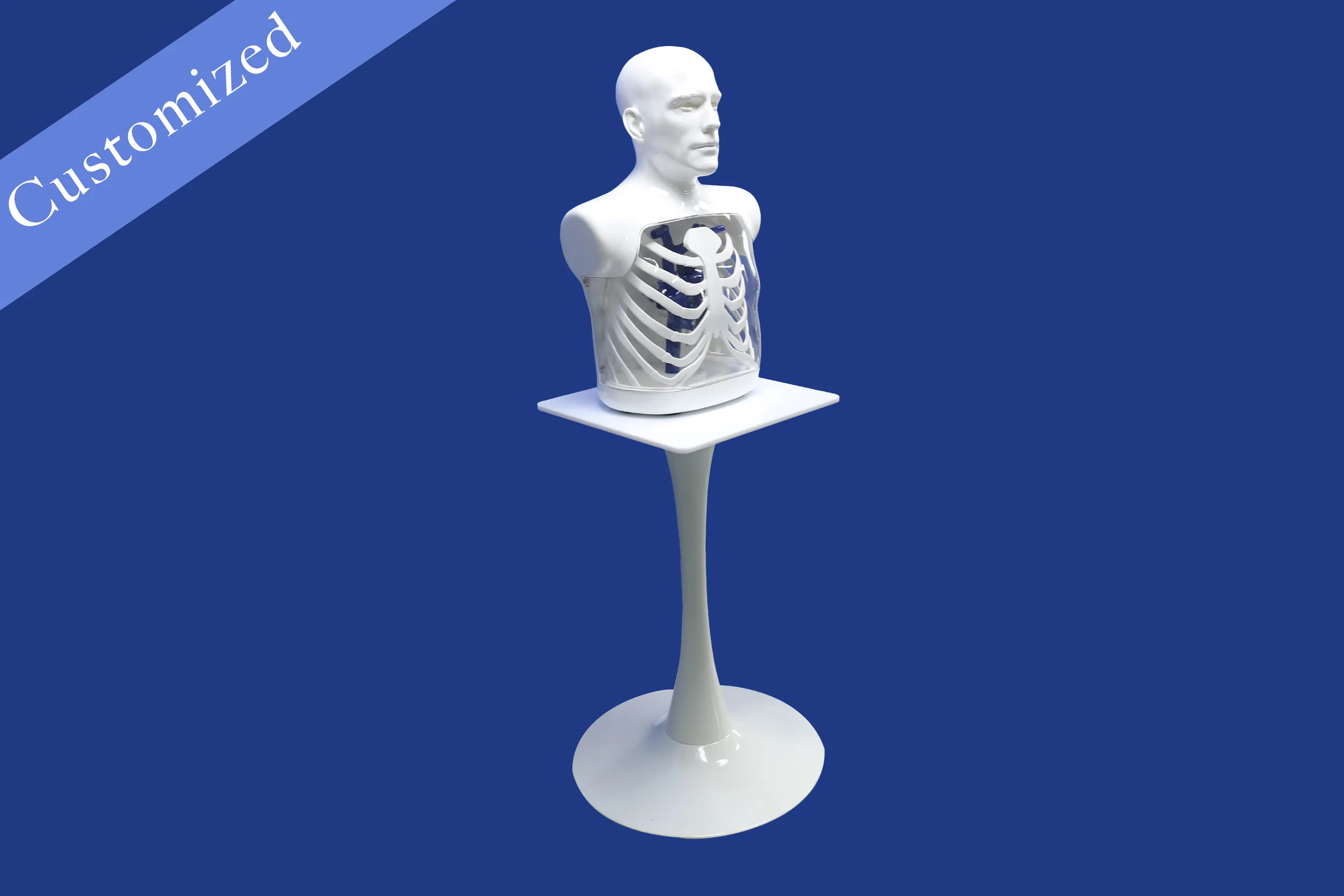 Customized Display Model