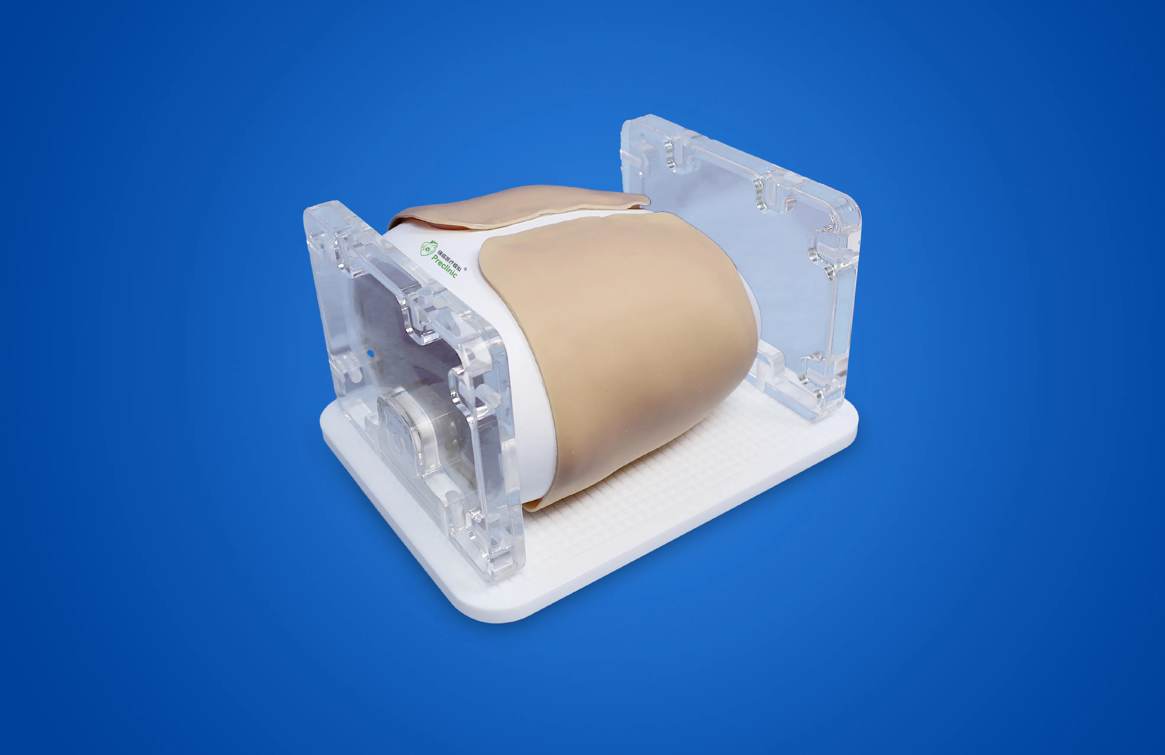 Lung Nodule Puncture Model