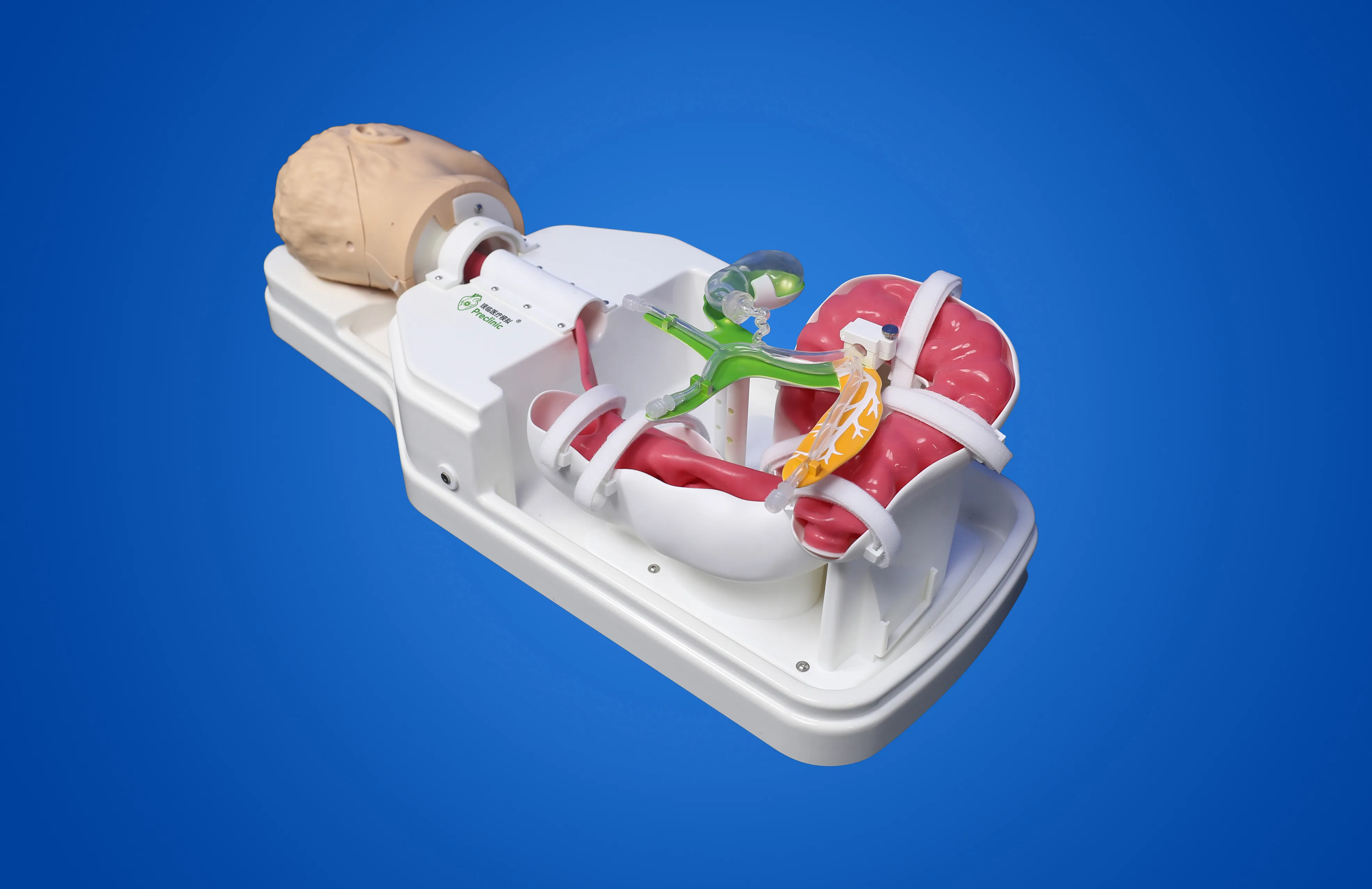 ERCP training model