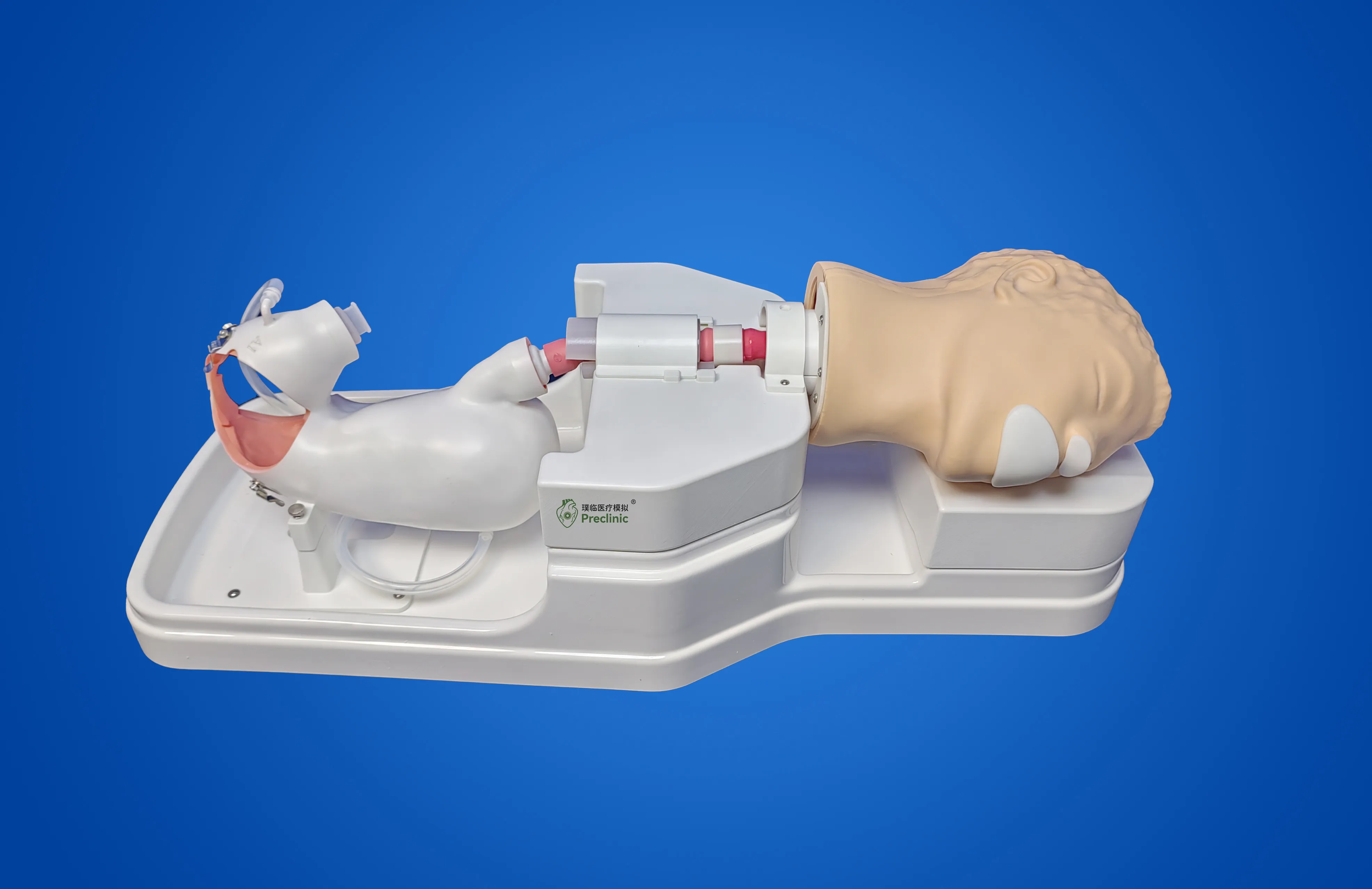 ESD Training Model
