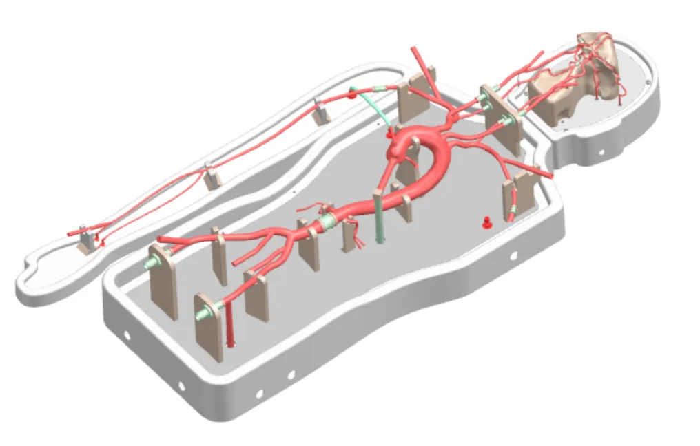 Drawing of Neurovascular Operation Training Model-Type A