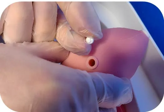 FAQ on Portable Urinary System Model (Single Kidney + Bladder)