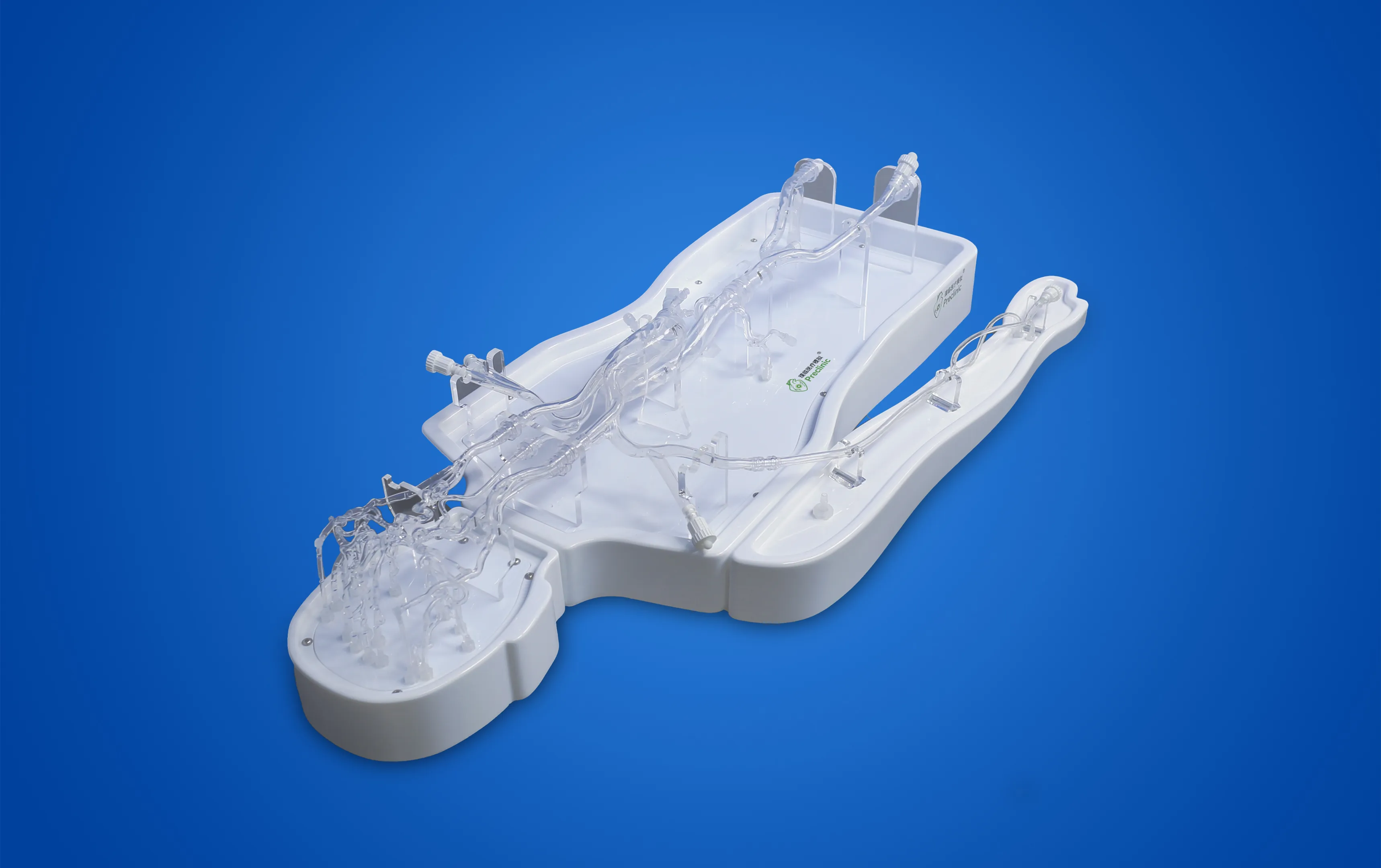 Neurovascular Operation Training Model-Type B