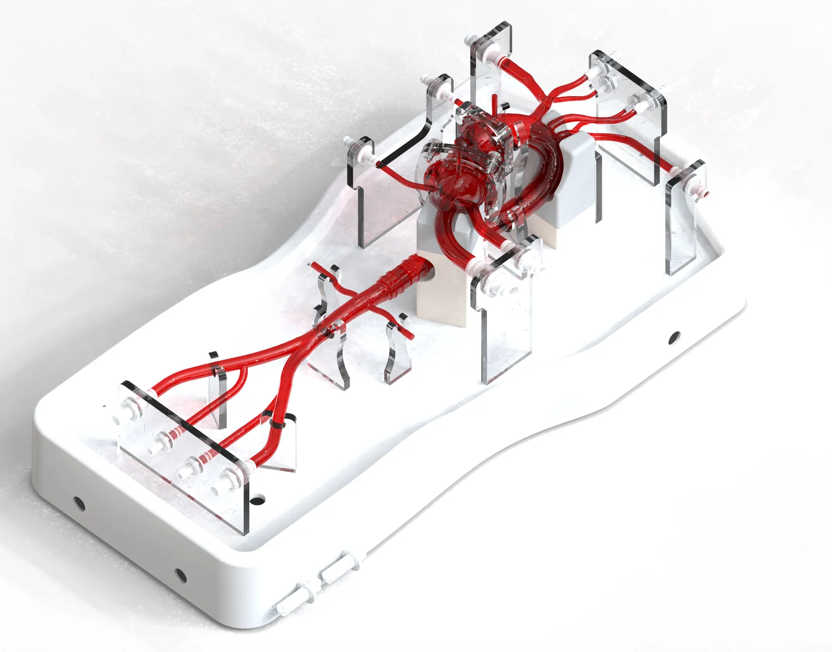 Drawing of TAVR Simulation Model