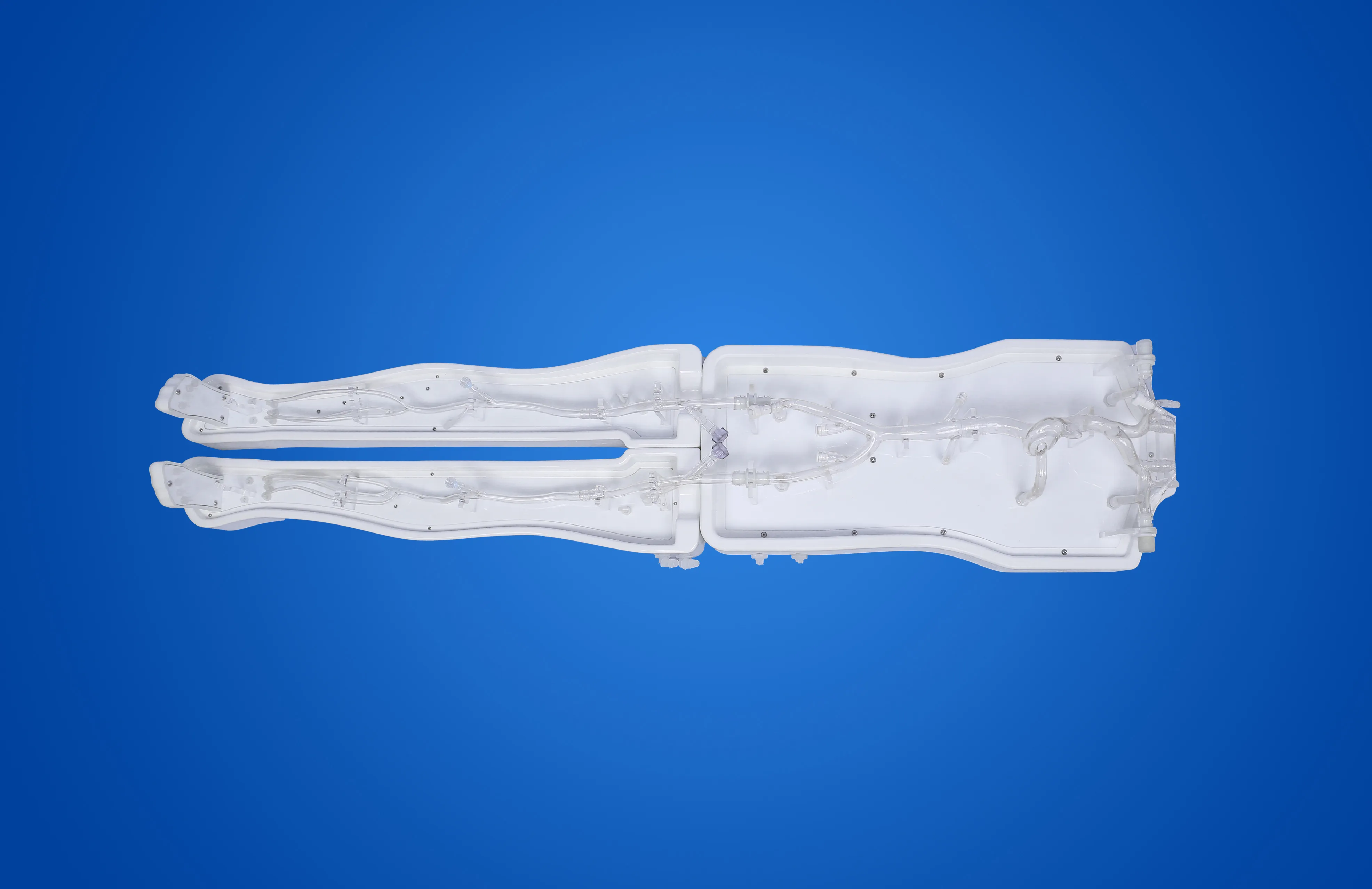 Lower Extremity Artery Simulation Model